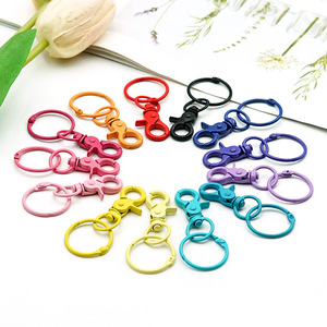 Llaveros de Aleación de Zinc Coloridos, Anillos Metálicos para Llaves, Accesorios de Moda, Forma Redonda, Estilo Fresco - Product Image 1