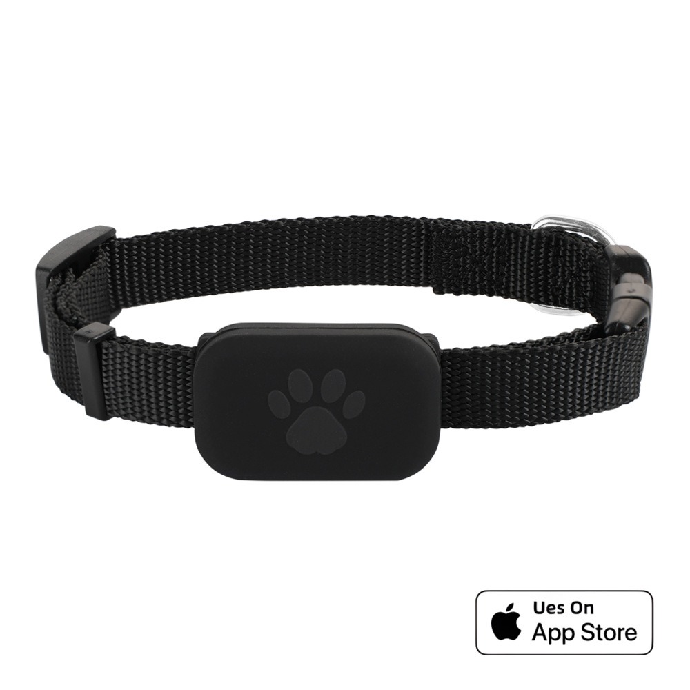 F5 Collar 1Pack - Black (iOS only)
