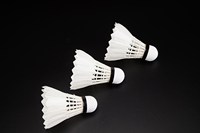 Ancien prix pour volants de Badminton blanc, professionnel, solide, anti-chute, ratio de 76/77/78