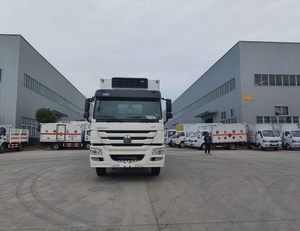 <span class=keywords><strong>Camion</strong></span> frigorifique robuste HOWO 6X4 diesel à transmission manuelle pour fruits et viande - Product Image 6