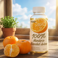 Nihewan Mandarijn Mengsel Sap 240ml Groothandel OEM ODM Private Label Drank Gemengd Fruitsap
