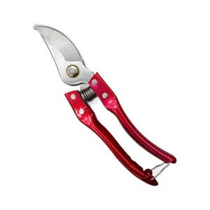 ยางกรรไกรตัดแต่งกิ่งไม้บอนไซต้นไม้ผลไม้กรรไกรตัดกิ่งไม้แบบสแตนเลสยืดหดได้สีทอง - Product Image 2