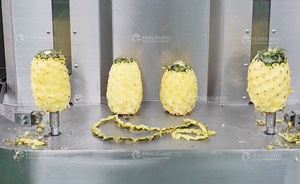 <span class=keywords><strong>Prix</strong></span> usine Butternut Jackfruit <span class=keywords><strong>Citrouille</strong></span> Ananas Noix <span class=keywords><strong>De</strong></span> Coco Melon Papaye Pastèque Taro Mangue Melon Machine À Éplucher Peau Éplucheur - Product Image 3