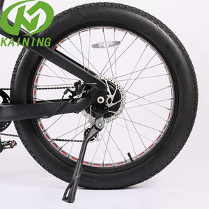 Motor eléctrico para esquí, bicicleta de nieve, tecnología sofisticada, precio barato - Product Image 6