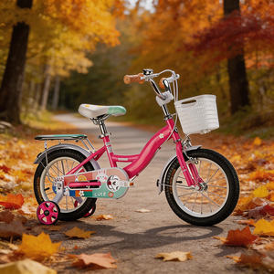Bicicleta Infantil Hebei HyPod con Ruedas de 16 Pulgadas, Bicicleta Urbana para Niñas, Bicicleta de Una Velocidad con Asiento Seguro para Niños - Product Image 4