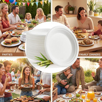 Assiettes Modernes en Bagasse Compostable Grises de 10 Pouces, Robustes et Jetables, Lot de 100 pour Événements et Mariages