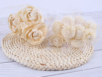 ZanTe Accessoires : Lot d'aromathérapie de remplacement, diffuseur à roseaux séchés faits main, fleur de Sola en papier, pour la remise des diplômes et Pâques