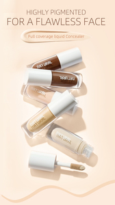 Fond de teint correcteur liquide minéral 8 couleurs pour femmes mat naturel imperméable à l'eau avec marque privée pour peau foncée - Product Image 6