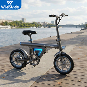 Vélo de montagne électrique 36V 350w 7.8ah E Mtb avec <span class=keywords><strong>EB9</strong></span> - Product Image 3