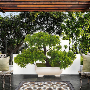 Bonsái Artificial de Pino Resistente a los Rayos UV de Alta Calidad en Maceta Blanca, Decoración Japonesa para Jardín Zen, Hogar u Oficina - Product Image 2