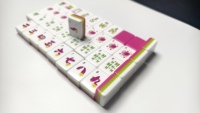 Tuiles de Mahjong de Luxe en Gros, 160 Tuiles de Plateau Ordinaire à Trois Couches, Conception à Quatre Couches, Résistantes à l'Eau, Portables pour le Camping