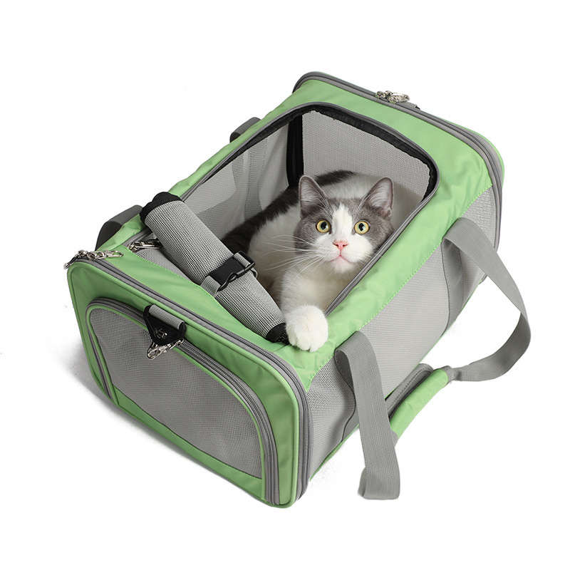 Custom Collapsible Soft Sided Pet Carrier