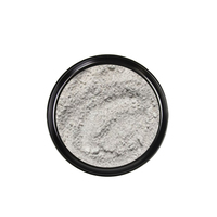 Fournisseurs de ciment réfractaire coulable, poudre d'aluminate de calcium amorphe 200 mesh pour accélérateur de ciment
