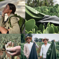 Cuir bio-sourcé Cactus pour sacs, chaussures, boîtes à bijoux, sacs en papier kraft recyclé, emballages de vêtements, fabrication de cuir synthétique, kraft