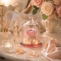 Rosa Ewige Rosen OEM Unvergängliche Blumen in Glaskuppel mit Warmem Licht für Geschenkeläden, Hochzeiten und Heimdekoration