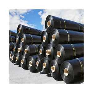 Fábrica Venda Preço Industrial HDPE 1mm Anti-UV Geomembranas Fish Pond Liner Dam Park Fish Farm Ao Ar Livre Lago Artificial - Product Image 1