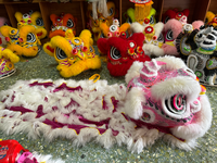 Haute qualité chinois nouvel an adulte Lion danse laine en peluche bambou tissage Dragon lanterne Performance authentique Lion danse Costume