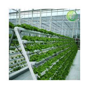 Système de culture hydroponique de type A, canal vertical de culture hydroponique, gully de culture hydroponique en PVC, système hydroponique vertical, canal vertical - Product Image 3