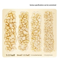 Nueces de Macadamia Crudas Blanqueadas, Trituradas y Secas, Grado Premium, en Piezas, 10 kg, Venta al por Mayor, para Panadería, Fábrica de Chocolate, OEM/ODM, Etiqueta Personalizada