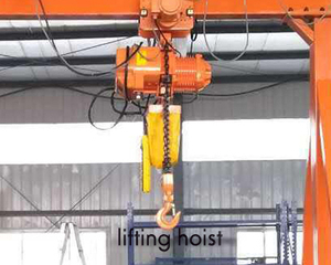 Grúa Móvil de Taller, Grúa Pequeña de 3 Toneladas, Grúa Pórtico Portátil para Almacén - Product Image 4