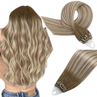 Extensions de cheveux humains Luxsea 100% vierges, lisses naturels avec mèches blondes balayage H6, effet plume