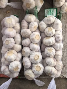 Ajo Blanco Normal, Precio de Fábrica, Empaque a Granel, Ajo Chino Fresco de 6.0cm, Proveedor Mayorista de Vegetales - Product Image 6