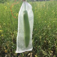 200 stuks nylon garen fruitbeschermingszakjes met trekkoord, eenvoudig te monteren, wit, 6 x 8 inch