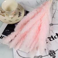 Buket Bunga Kering Alami Pampa Grass 60cm Ramah Lingkungan Dekorasi Pernikahan Putih Pink Hitam Abu-abu