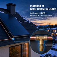 Ganador ODM OEM Control de temperatura estándar 3/4 ''Válvulas de drenaje Calentador de agua solar Válvula de protección contra heladas