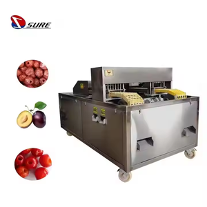 Machine de dénoyautage de pruneau de service <span class=keywords><strong>professionnel</strong></span> Machine de dénoyautage de fruits de date Machine de dénoyautage de prune Pitter de cerise - Product Image 1