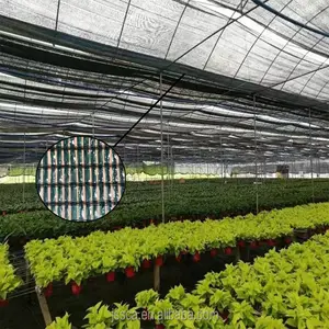 100% 新型HDPE紫外线稳定平纹编织遮阳网农业温室蔬菜遮阳网遮阳网