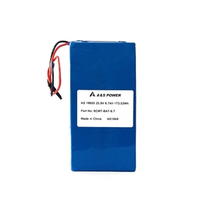 Highly Customized &Fully Rechargeable 18650 25.9V 10Ah 259Wh 7S2P Flat Lithium Ion Battery Pack with Metal Case or ABS Case - Product Image 2