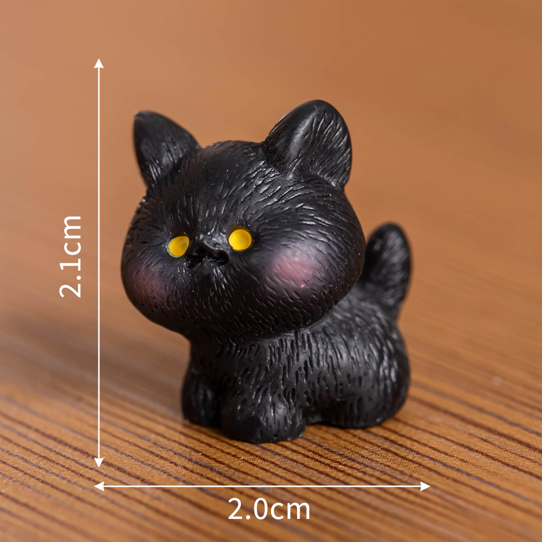 Black Cat No. 8