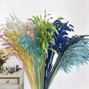 Petites Branches d'Herbe Bleue Séchées et Préservées, Feuilles Fraîches Naturelles pour la Décoration <span class=keywords><strong>de</strong></span> la Maison, du Bureau, des Mariages et des Festivals - Product Image 1