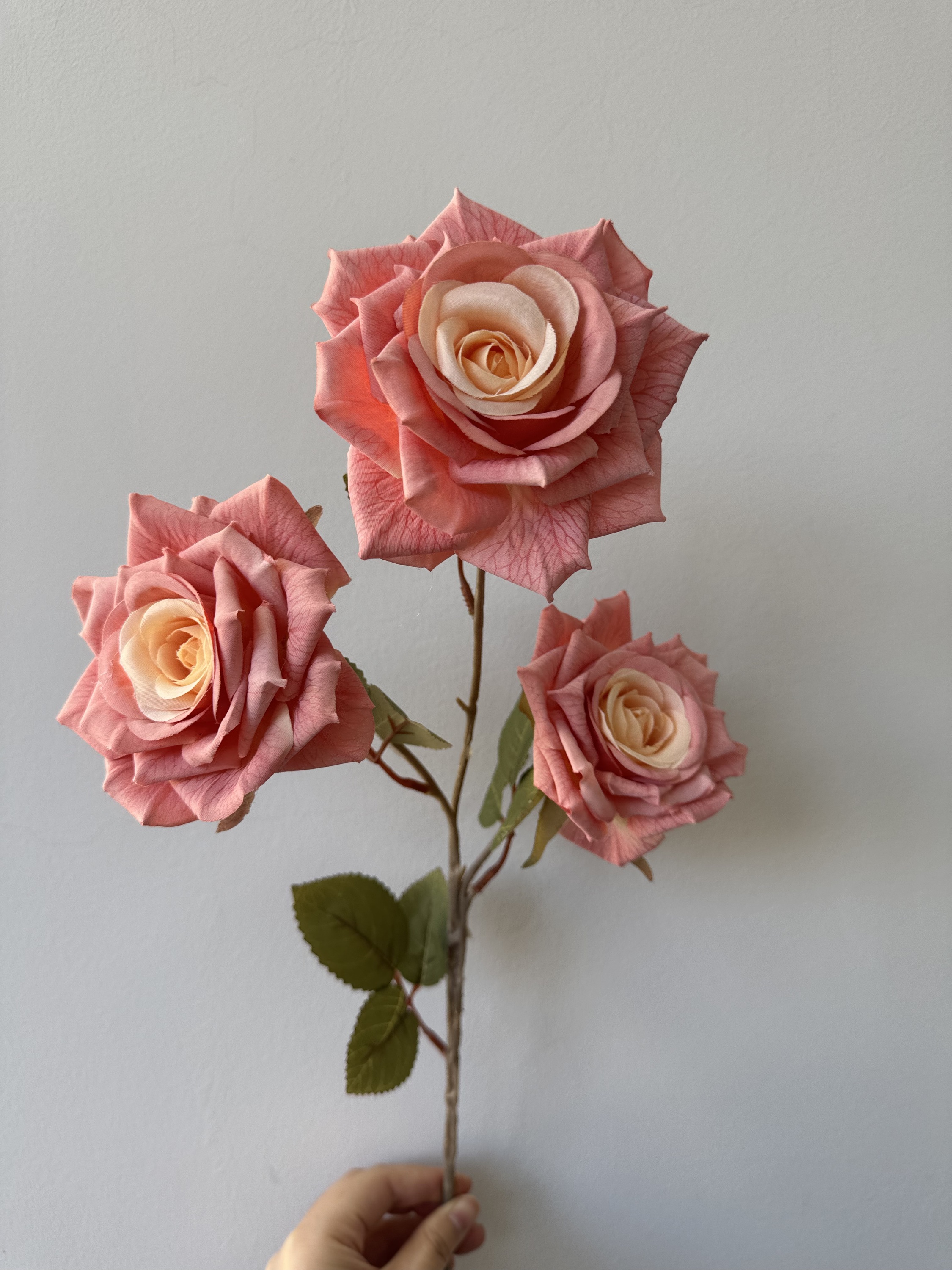 #9 rosa