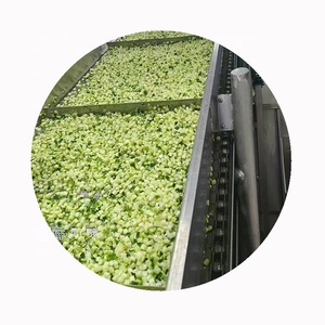 XMSD IQF Rebanadas <span class=keywords><strong>de</strong></span> Calabacín Amarillo Congeladas |   Suministro <span class=keywords><strong>de</strong></span> Vegetales Cortados a Granel para Compradores Globales <span class=keywords><strong>de</strong></span> Servicios y Procesamiento <span class=keywords><strong>de</strong></span> Alimentos - Product Image 4