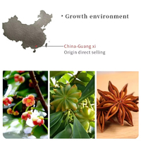 Anis étoilé rouge entier de Guangxi 50g pour usage domestique, cannelle, feuilles de laurier, piments séchés, épices pour braiser, poivre du Sichuan