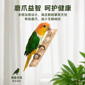 Échelle pour oiseaux en bois massif, jouet pour cage, escalade et jeu d'intérieur, taille moyenne, rectangulaire, durable - Product Image 4