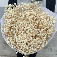 Bunga Baby's Breath Awet Alami Grosir, Bunga Gypsophila Abadi untuk Dekorasi Pernikahan