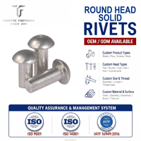 TianFang Rivet Plein Inox Poli Miroir pour Quincaillerie Déco & Meubles OEM