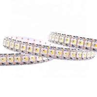 Ws2812b ws2812 sk6812 bande led adressable programmable RGBW 5v 12v 24v bande led étanche