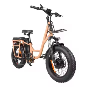 20" Fat Tire <b>Bike</b> Adults 500W Low Frame Rear <b>Seat</b> Rack Comfort Leisure City Family Use 7-Speed Electronic Zxc-278 Rear Hub Motor - Product Image 3