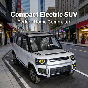 Mini <span class=keywords><strong>SUV</strong></span> à énergie nouvelle, best-seller, à faible vitesse, pour usage domestique - Product Image 5