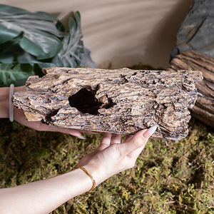 Caverne cachette pour <span class=keywords><strong>reptiles</strong></span> de 8 à 12 pouces de longueur, en ciment, imitation de bois creux, pour cachette d'amphibiens, accessoires pour terrarium de <span class=keywords><strong>reptiles</strong></span>, pour serpents et lézards - Product Image 3