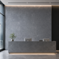 Panel de Cristal de Carbono Gris Oscuro, Sistema de Pared Comercial WYRAX