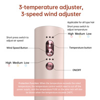 Sèche-cheveux 3 en 1, fer à lisser, brosse chauffante 160-220 ℃   Prise LED ALCI double tension
