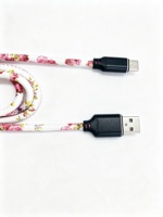 Câble de données imprimé en cuir PU de haute qualité, nouveau style, avec charge rapide 2A pour iPhone et Type-C Todugu T-155