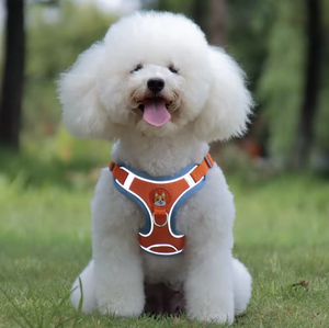 Luxury Dog <b>Harness</b> Vest Suede/Polyester Adjustable Breathable Soft Reflective Buckle Closure Ribbons Wholesale <b>Pet</b> - Product Image 2
