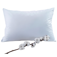 Housse de coussin rectangulaire 100 % coton pour hôtel, taie d'oreiller douce et respirante, pour hall d'hôtel, chambre d'hôtes, SPA, vente en gros, logo personnalisé