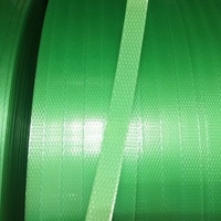 Courroie d'emballage complètement automatique de catégorie de polyester d'ANIMAL FAMILIER faisant l'usine